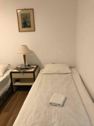 Engi Panzio Bed & Breakfast Ocna de Sus Luaran gambar