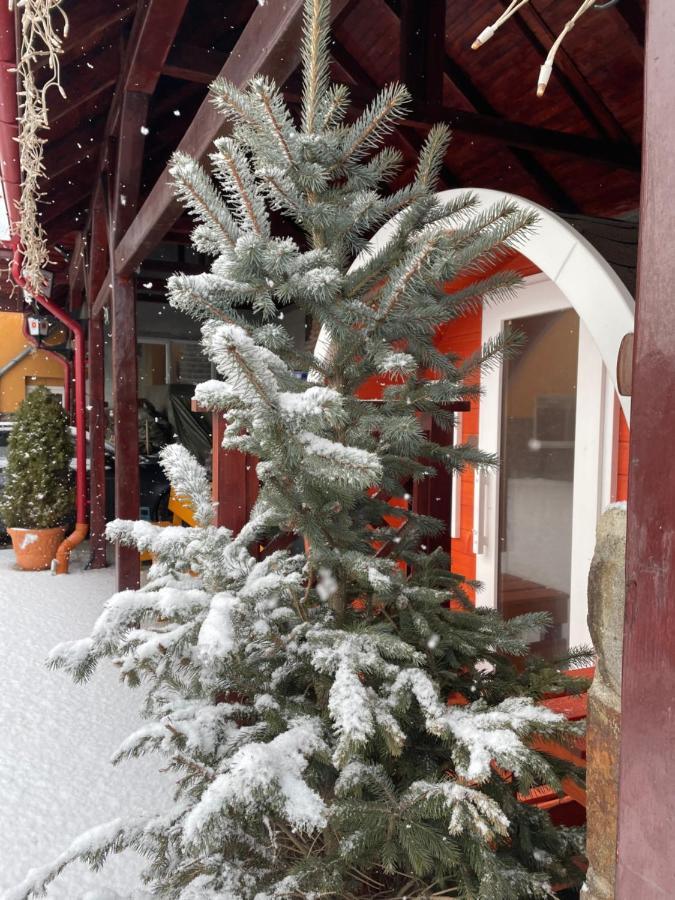 Engi Panzio Bed & Breakfast Ocna de Sus Luaran gambar